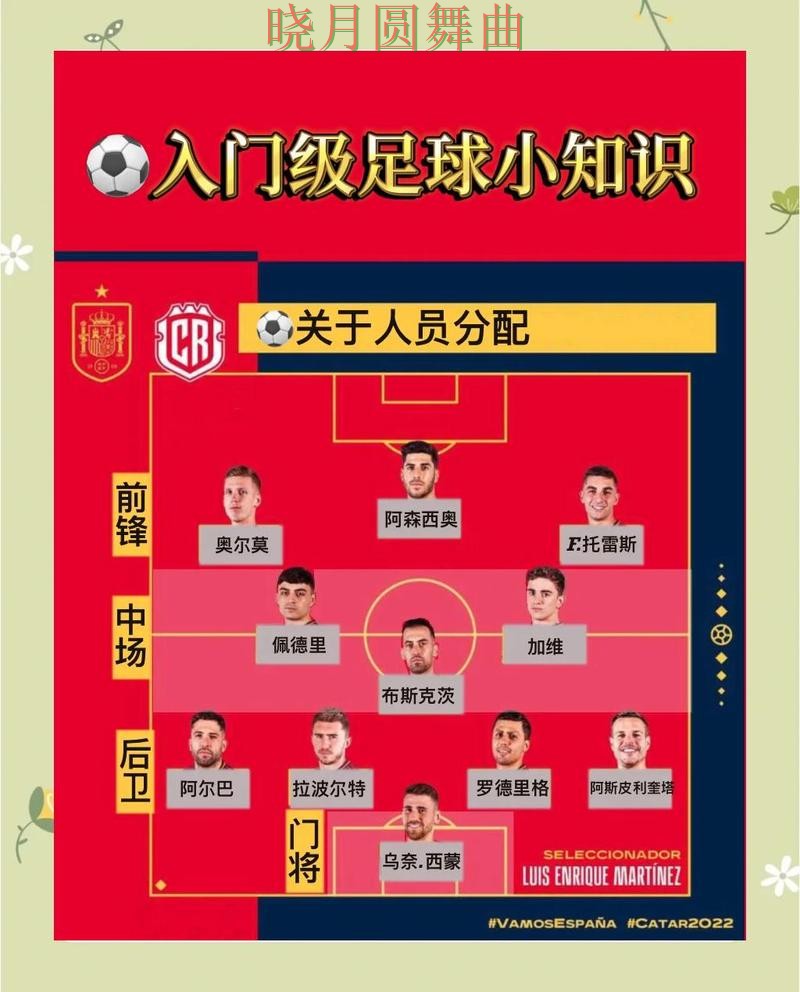 世界杯投注入口强队比赛如何合理分析技巧总结